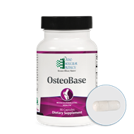 Image of OsteoBase