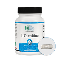 Image of L-Carnitine